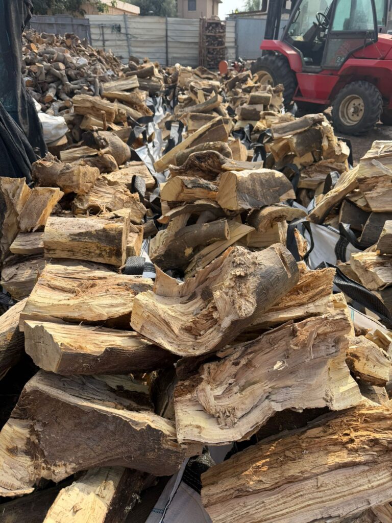 תמונה של WhatsApp‏ 2025-11-06 בשעה 12.06.42_348eab24