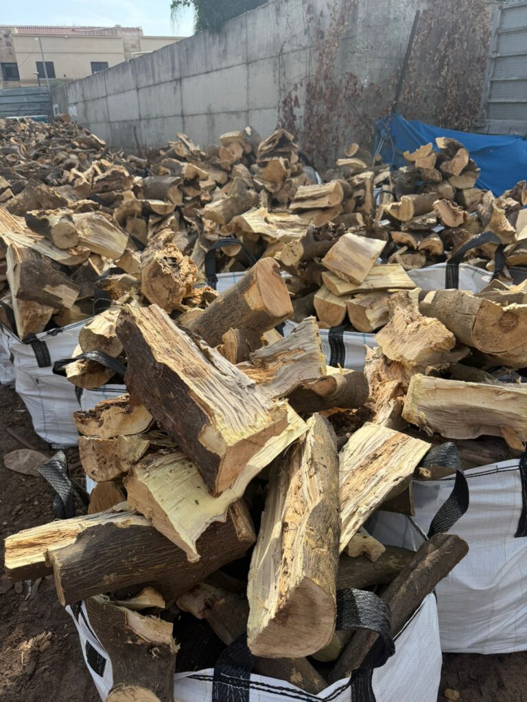 תמונה של WhatsApp‏ 2025-11-06 בשעה 12.06.42_95961f96